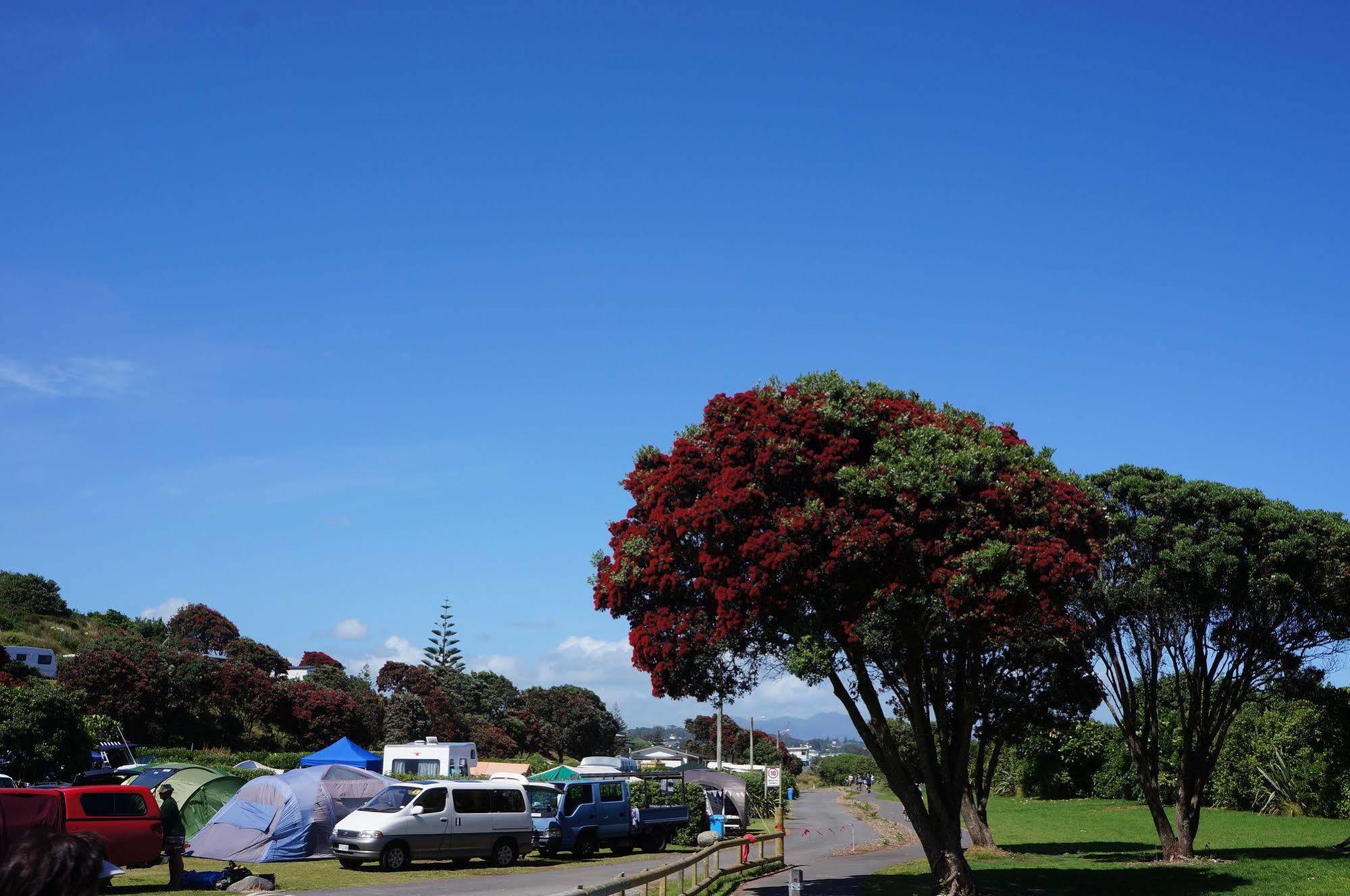 Fitzroy Beach Holiday Park New Plymouth Exterior photo